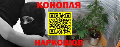 соль ск Свободный