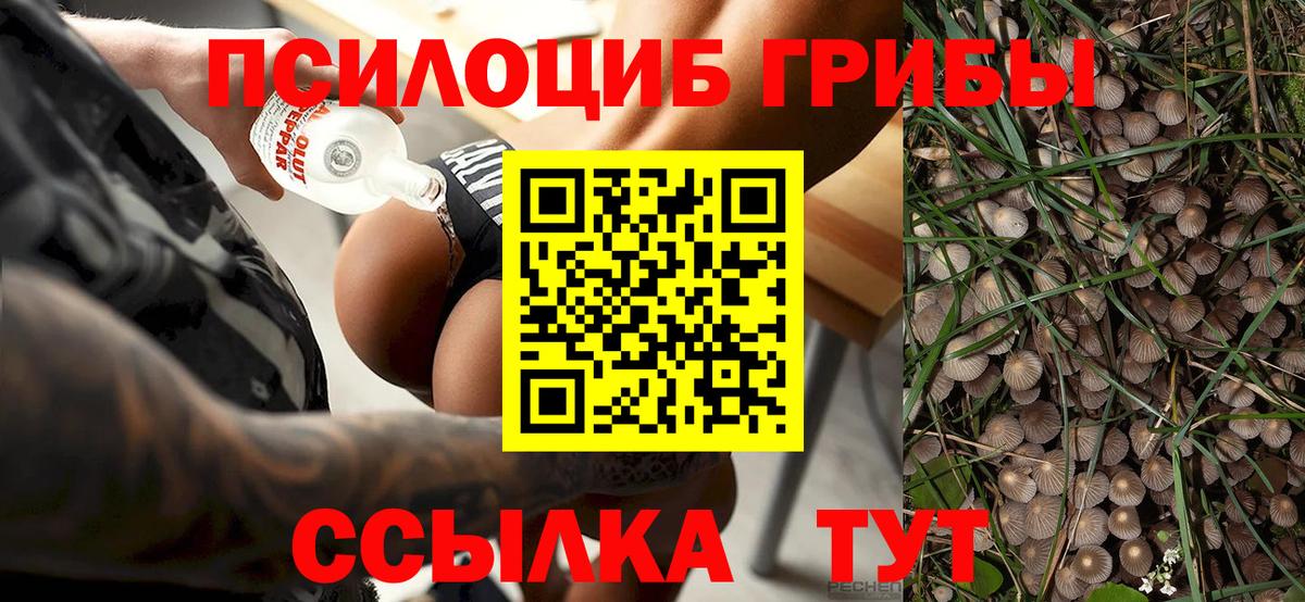 Новочебоксарск  Галлюциногенные грибы мухоморы  где продают   Вход с VPN 