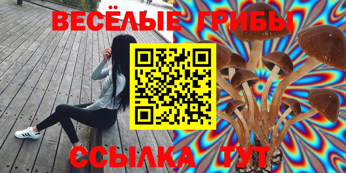 Галлюциногенные грибы прущие грибы Новочебоксарск